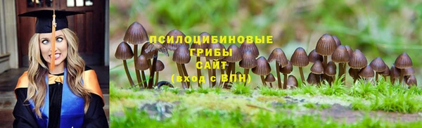 apvp Богородицк