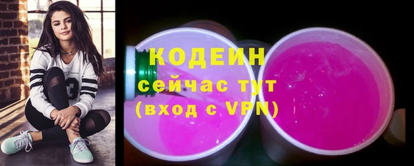 не бодяженный Бородино