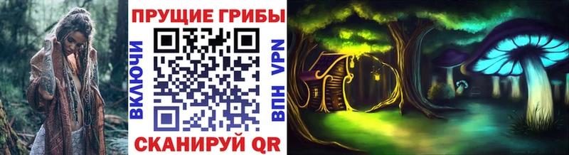 KRAKEN как войти  Суворов  Псилоцибиновые грибы Psilocybe 