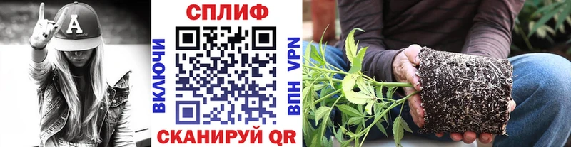 дарк нет клад  Суворов  МАРИХУАНА ГИДРОПОН  mega зеркало 
